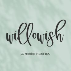 Willowish Script Font