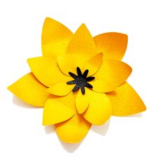 Flower Decoration