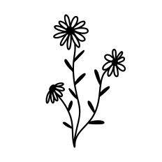 Hand-Drawn Wildflower Daisies Trio - Botanical Outline Cut File for Silhouette Studio