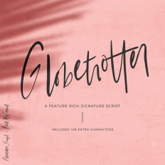Globetrotter Signature Script Font
