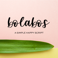 Bolabos Script Font