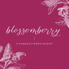 Blossomberry Script Font