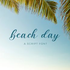 Beach Day Script