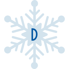 Snowflake D