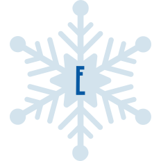 Snowflake E