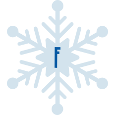 Snowflake F