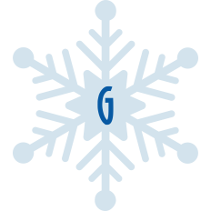 Snowflake G