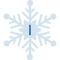 Snowflake I