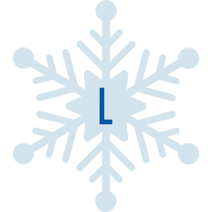 Snowflake L
