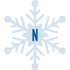Snowflake N