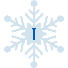Snowflake T