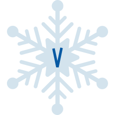 Snowflake V