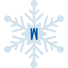 Snowflake W