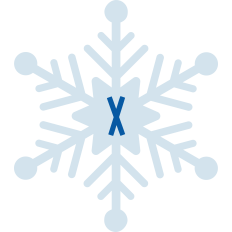 Snowflake X