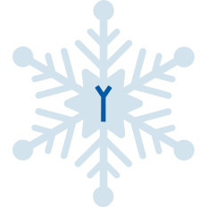 Snowflake Y