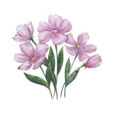 Watercolor flower