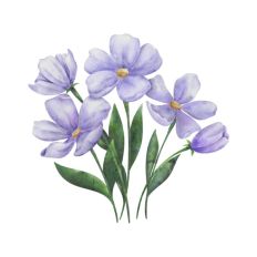 Watercolor flower
