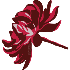 Flower Blossom - Three Layer Cutout