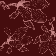 Blooming Line Art Flower Printable for Crafters