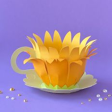 Sunflower Cup Gift Box