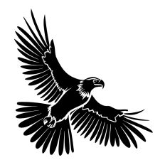 Flying Eagle2
