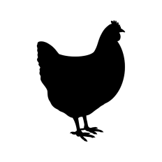 Chicken silhouette