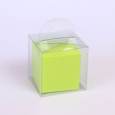 Clear Box with Handles