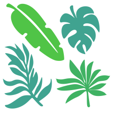 Tropical Folliage