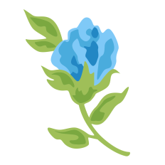 Rose Bud 3