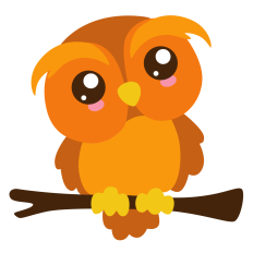 Cute Owl