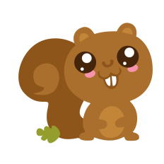 Cute Squirrel