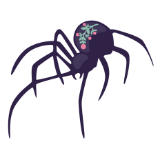 Flourish Spider