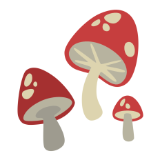 Little Mushrooms