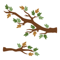 Fall Branches