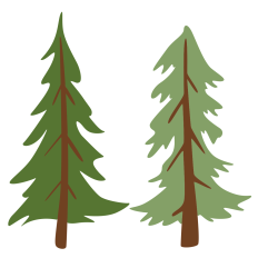 Pine Trees