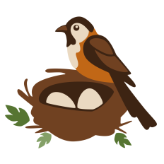 Bird in Nest