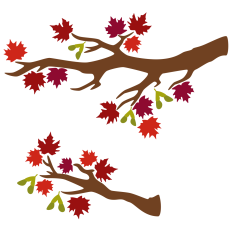 Fall Maple Branches