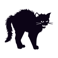 Black Cat Silhouette