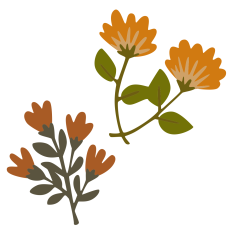 Fall Flowers