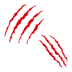 Claw Marks