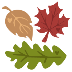 Fall Leaves