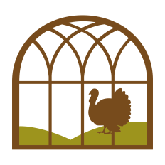 Turkey Window