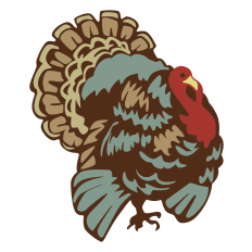 Vintage Turkey