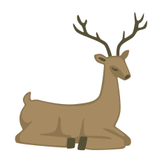 Resting Reindeer
