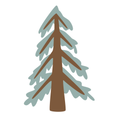 Redwood Tree