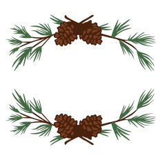 Pine Branches