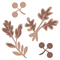 Mocha Branches