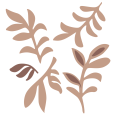 Mocha Ferns