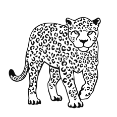 Leopard Walking