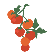 Tomatoes on a Vine